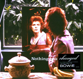 NOTHING HAS CHANGED - 2LP VINYL EDITION