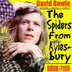 THE SPIDERS FROM AYLESBURY