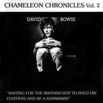 CHAMELEON CHRONICLES VOL. 2